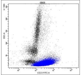 Flow Cytometry - Anti-CD23 Antibody - Antibodies.com (A8308)