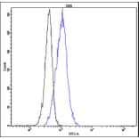 Flow Cytometry - Anti-CD5 Antibody - Antibodies.com (A8309)