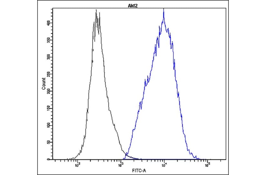 Flow Cytometry - Anti-Akt2 Antibody - Antibodies.com (A8312)