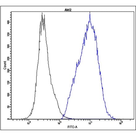 Flow Cytometry - Anti-Akt2 Antibody - Antibodies.com (A8312)