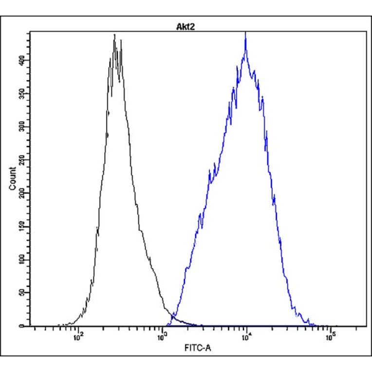 Flow Cytometry - Anti-Akt2 Antibody - Antibodies.com (A8312)