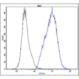 Flow Cytometry - Anti-Akt2 Antibody - Antibodies.com (A8312)