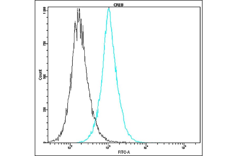 Flow Cytometry - Anti-CREB Antibody - Antibodies.com (A8314)