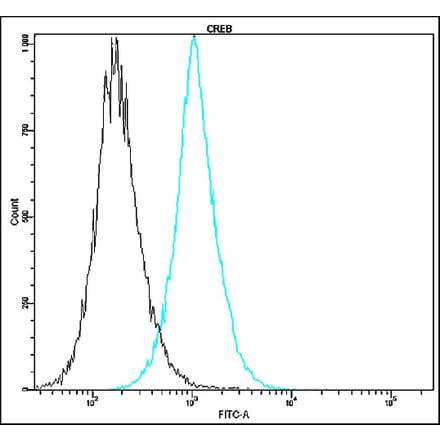 Flow Cytometry - Anti-CREB Antibody - Antibodies.com (A8314)