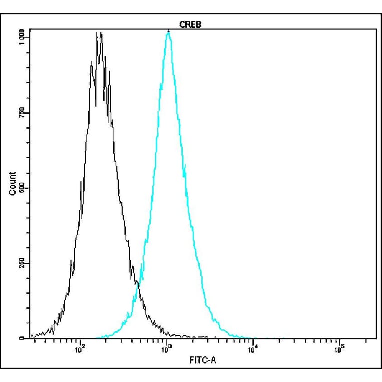 Flow Cytometry - Anti-CREB Antibody - Antibodies.com (A8314)