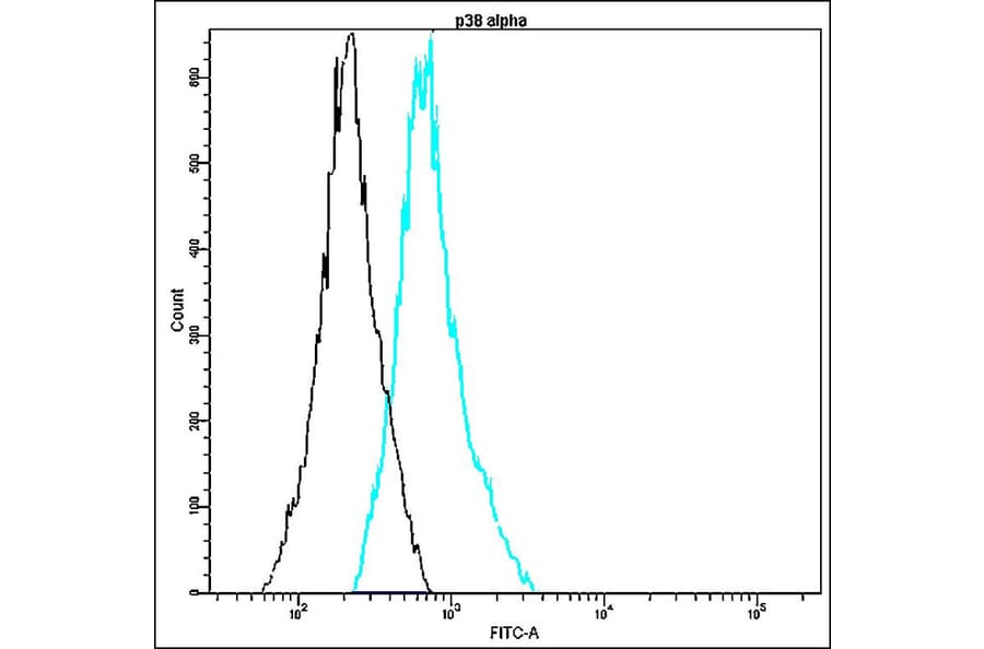 Flow Cytometry - Anti-p38 alpha Antibody - Antibodies.com (A8315)