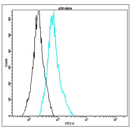 Flow Cytometry - Anti-p38 alpha Antibody - Antibodies.com (A8315)