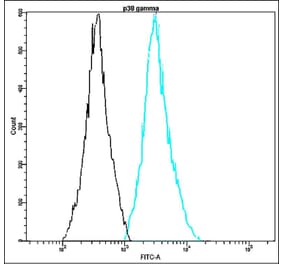 Flow Cytometry - Anti-p38 gamma Antibody - Antibodies.com (A8317)