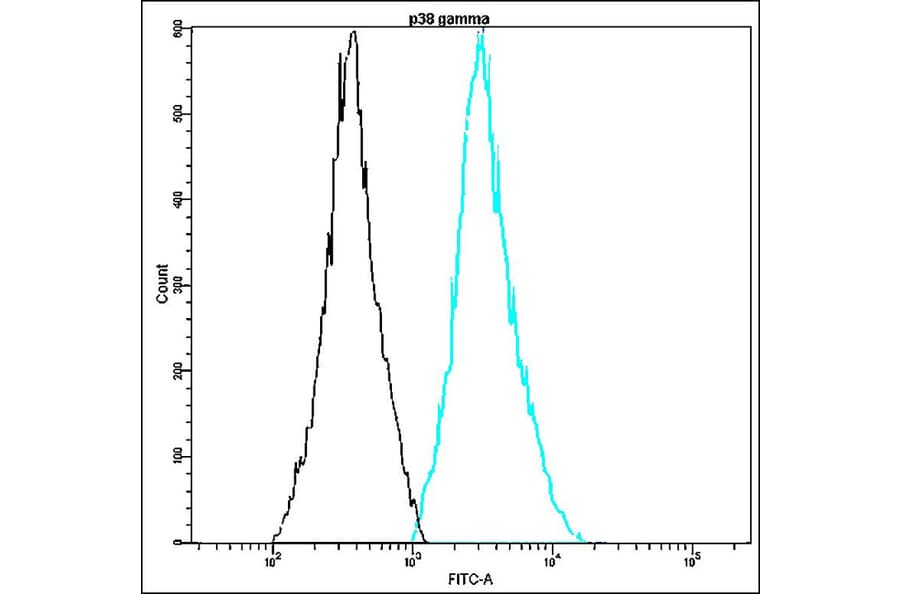 Flow Cytometry - Anti-p38 gamma Antibody - Antibodies.com (A8317)