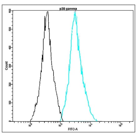 Flow Cytometry - Anti-p38 gamma Antibody - Antibodies.com (A8317)