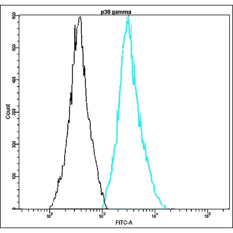 Flow Cytometry - Anti-p38 gamma Antibody - Antibodies.com (A8317)