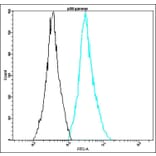 Flow Cytometry - Anti-p38 gamma Antibody - Antibodies.com (A8317)
