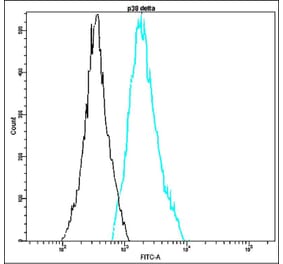 Flow Cytometry - Anti-p38 delta Antibody - Antibodies.com (A8318)