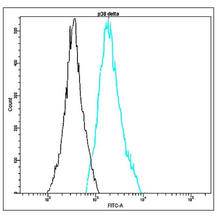Flow Cytometry - Anti-p38 delta Antibody - Antibodies.com (A8318)