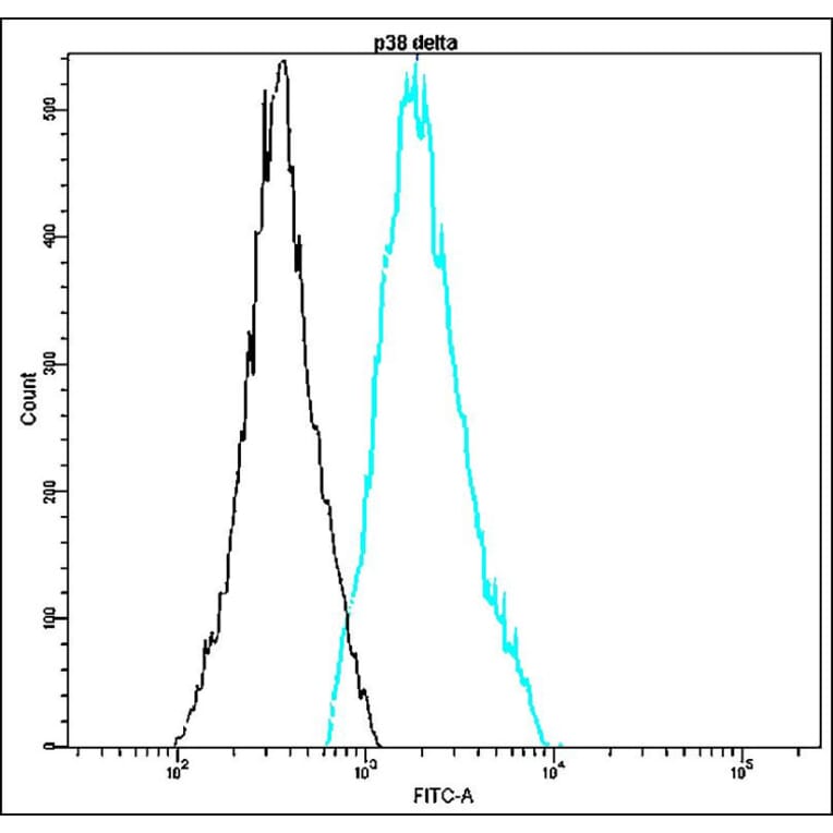 Flow Cytometry - Anti-p38 delta Antibody - Antibodies.com (A8318)