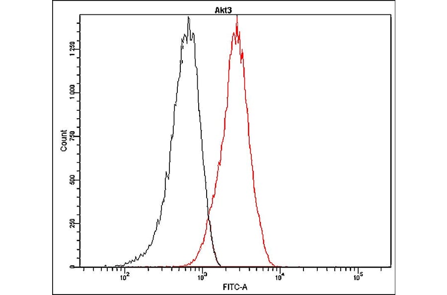 Flow Cytometry - Anti-Akt3 Antibody - Antibodies.com (A8319)