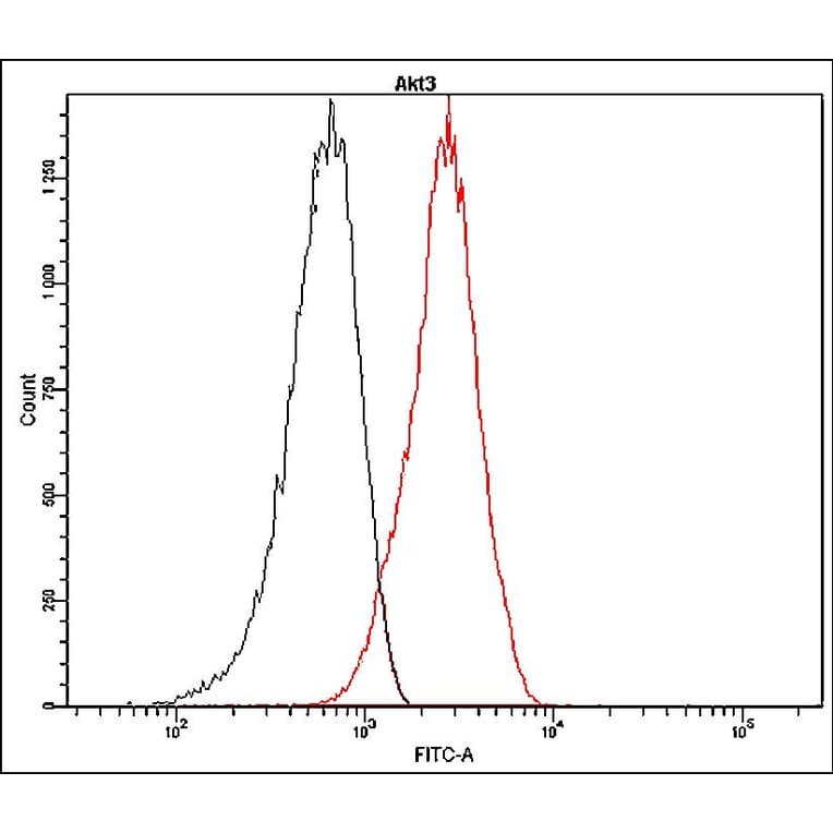 Flow Cytometry - Anti-Akt3 Antibody - Antibodies.com (A8319)