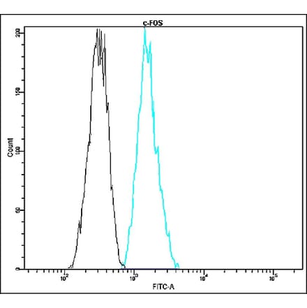Flow Cytometry - Anti-c-FOS Antibody - Antibodies.com (A8320)