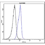 Flow Cytometry - Anti-B-raf Antibody - Antibodies.com (A8321)