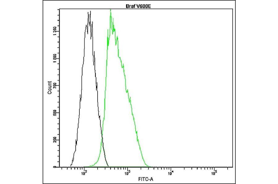 Flow Cytometry - Anti-B-raf Antibody - Antibodies.com (A8321)