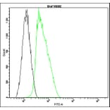 Flow Cytometry - Anti-B-raf Antibody - Antibodies.com (A8321)
