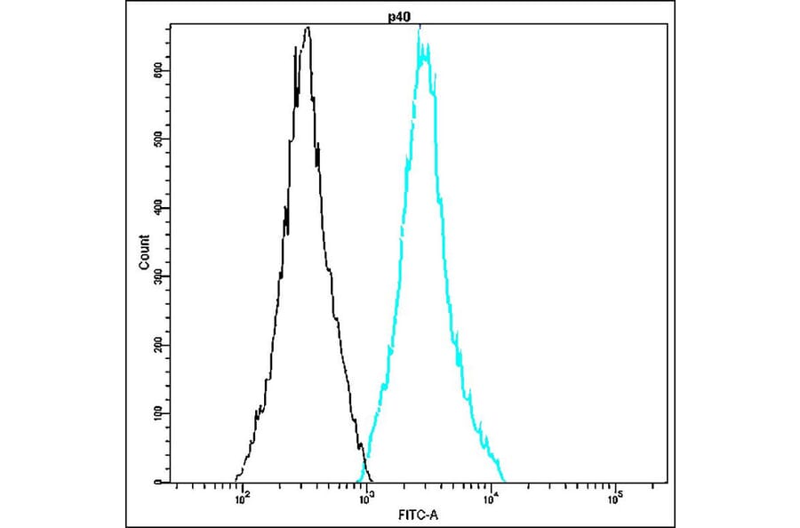Flow Cytometry - Anti-p40 Antibody - Antibodies.com (A8322)