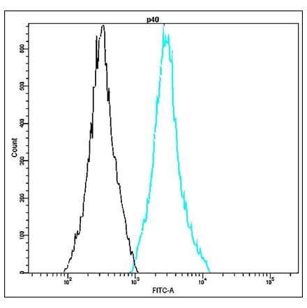 Flow Cytometry - Anti-p40 Antibody - Antibodies.com (A8322)