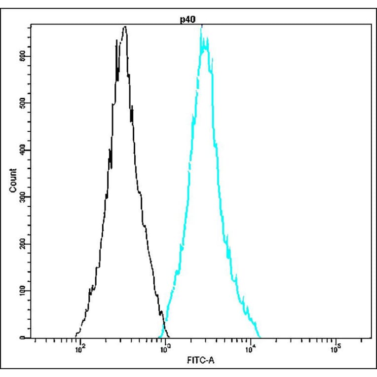 Flow Cytometry - Anti-p40 Antibody - Antibodies.com (A8322)