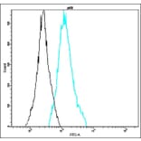 Flow Cytometry - Anti-p60 Antibody - Antibodies.com (A8323)