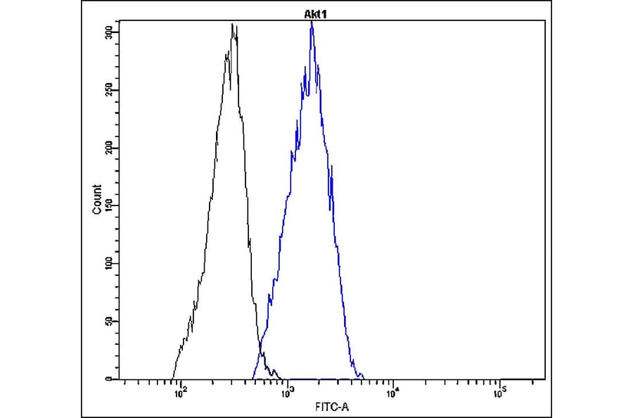 Flow Cytometry - Anti-Akt1 Antibody - Antibodies.com (A8324)
