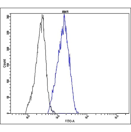 Flow Cytometry - Anti-Akt1 Antibody - Antibodies.com (A8324)
