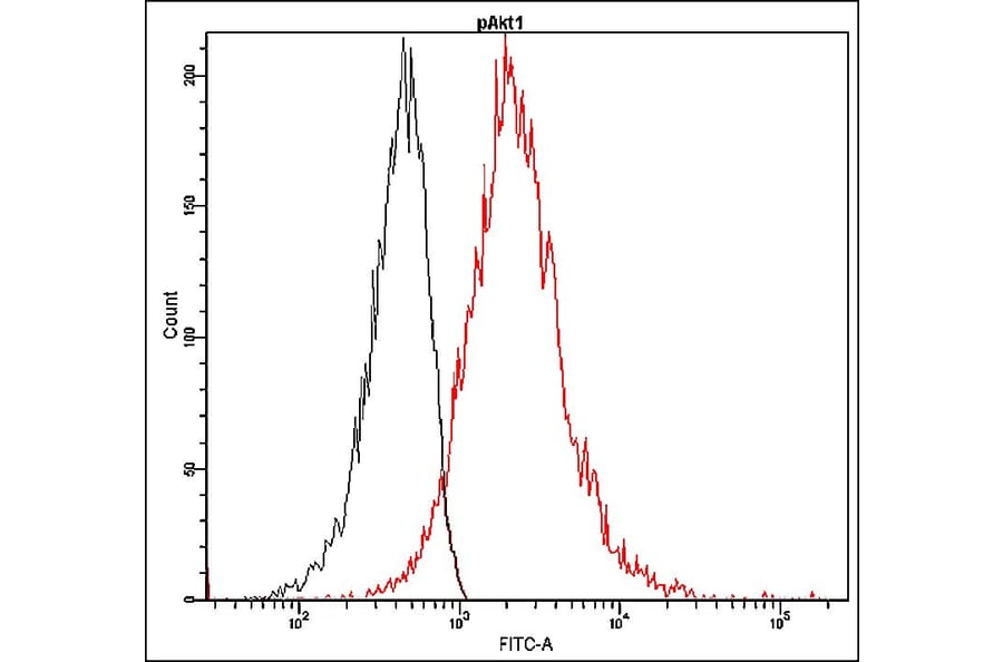 Flow Cytometry - Anti-Akt1 (phospho Ser473) Antibody - Antibodies.com (A8325)