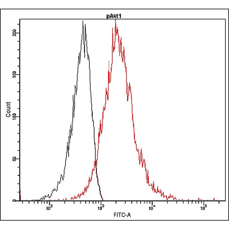 Flow Cytometry - Anti-Akt1 (phospho Ser473) Antibody - Antibodies.com (A8325)