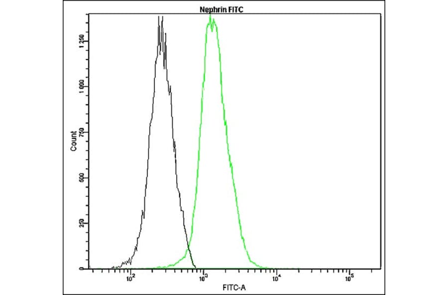 Flow Cytometry - Anti-Nephrin Antibody - Antibodies.com (A8326)
