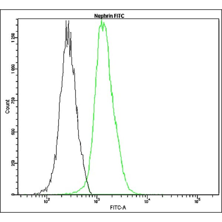 Flow Cytometry - Anti-Nephrin Antibody - Antibodies.com (A8326)