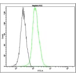 Flow Cytometry - Anti-Nephrin Antibody - Antibodies.com (A8326)