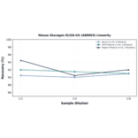 Linearity - Mouse Glucagon ELISA Kit (A80003) - Antibodies.com