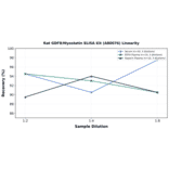 Linearity - Rat GDF8/Myostatin ELISA Kit (A80076) - Antibodies.com
