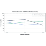 Linearity - Rat alpha Synuclein ELISA Kit (A80161) - Antibodies.com