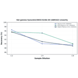 Linearity - Rat gamma Synuclein/SNCG ELISA Kit (A80162) - Antibodies.com