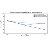 Linearity - Human Tyrosine Hydroxylase ELISA Kit (A80185) - Antibodies.com