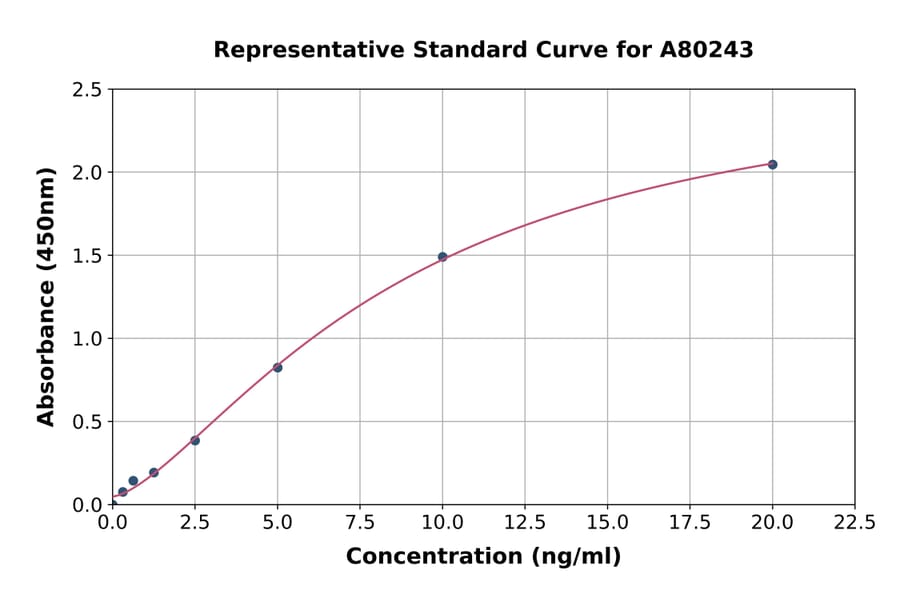 Standard Curve - Rat Angiotensin Converting Enzyme 1 ELISA Kit (A80243) - Antibodies.com