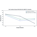 Linearity - Rat Creatine Kinase MM ELISA Kit (A80271) - Antibodies.com
