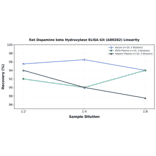 Linearity - Rat Dopamine beta Hydroxylase ELISA Kit (A80282) - Antibodies.com