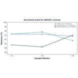 Linearity - Rat Galanin ELISA Kit (A80305) - Antibodies.com