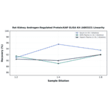 Linearity - Rat Kidney Androgen-Regulated Protein/KAP ELISA Kit (A80323) - Antibodies.com