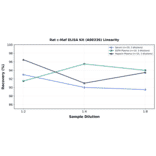 Linearity - Rat c-Maf ELISA Kit (A80336) - Antibodies.com