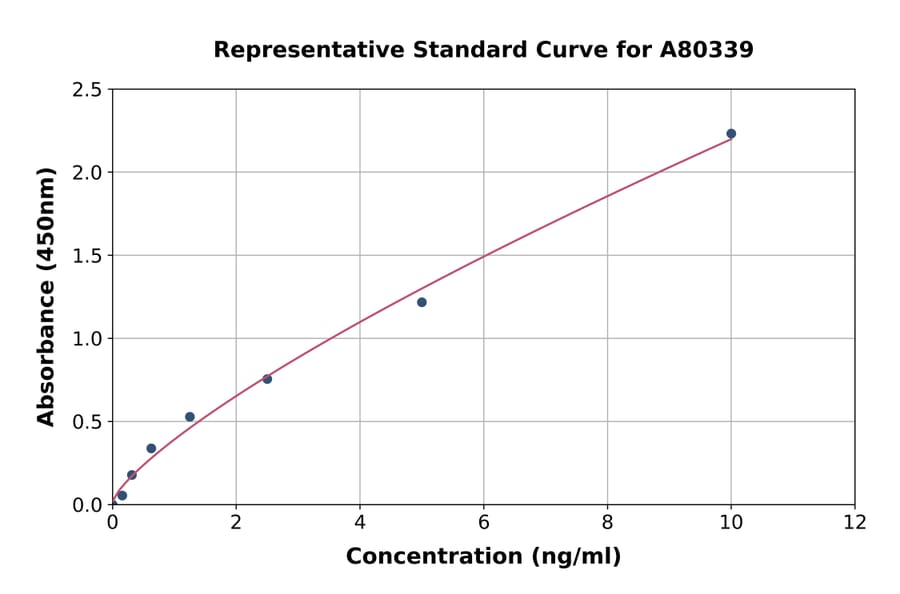 Standard Curve - Rat MIF ELISA Kit (A80339) - Antibodies.com