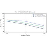 Linearity - Rat MIF ELISA Kit (A80339) - Antibodies.com