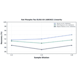 Linearity - Rat Phospho Tau ELISA Kit (A80362) - Antibodies.com